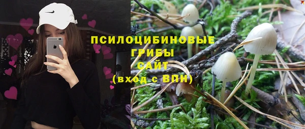 apvp Аркадак